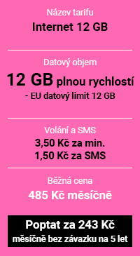 Internet 12 GB
